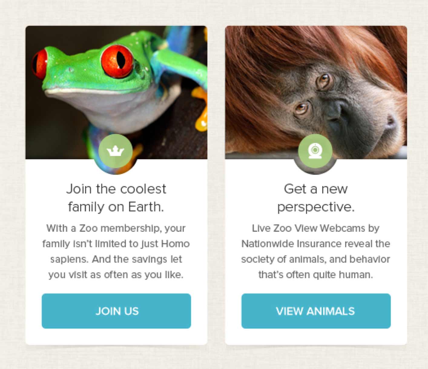 Columbus Zoo Website - Teaser Section