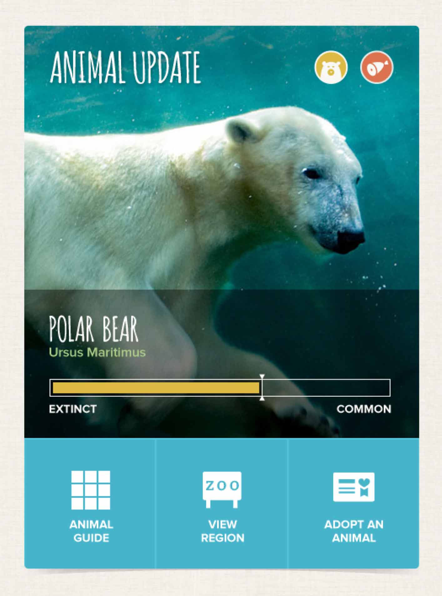 Columbus Zoo Website - Animal Update Module